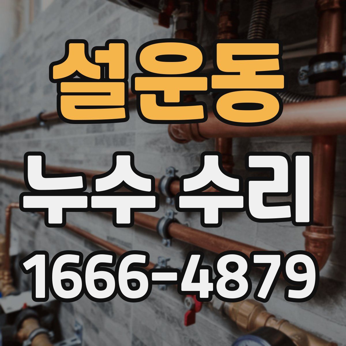 설운동 누수 수리