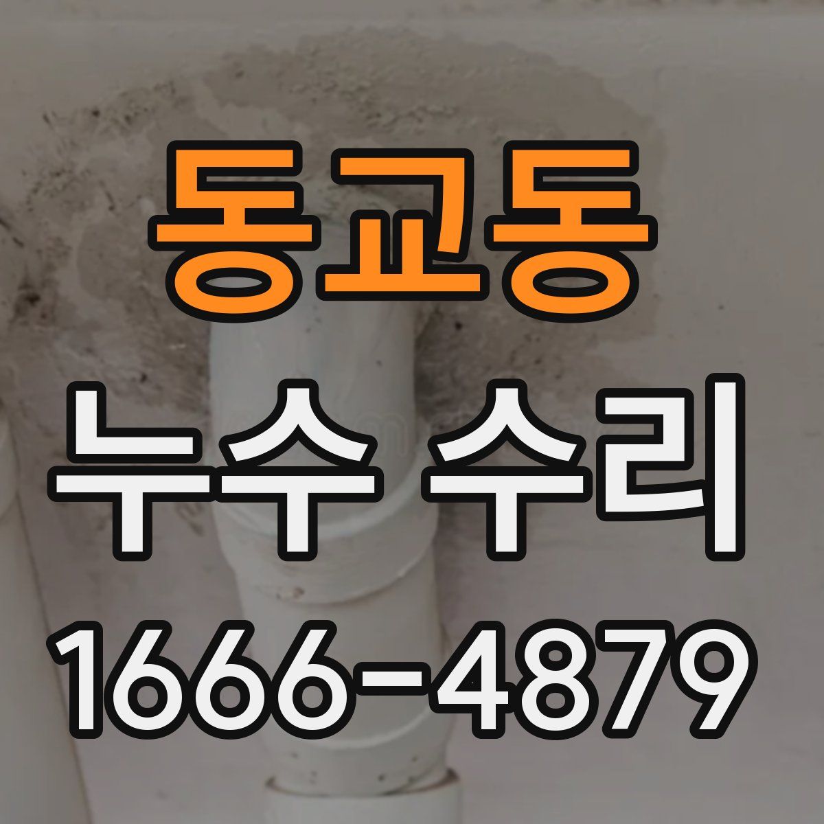 동교동 누수 수리