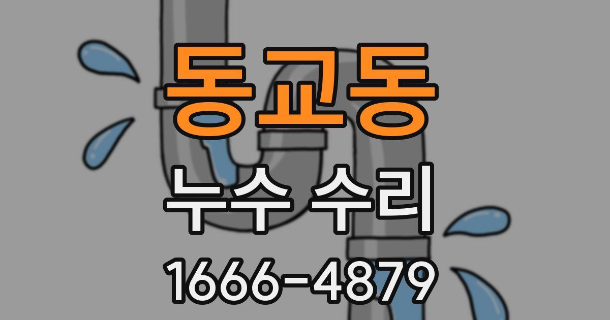 동교동 누수 수리