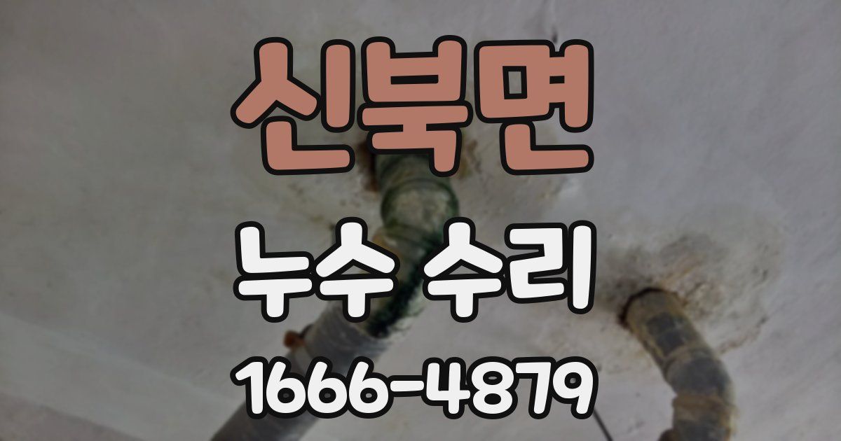 신북면 누수 수리