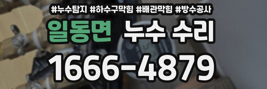 일동면 누수 수리