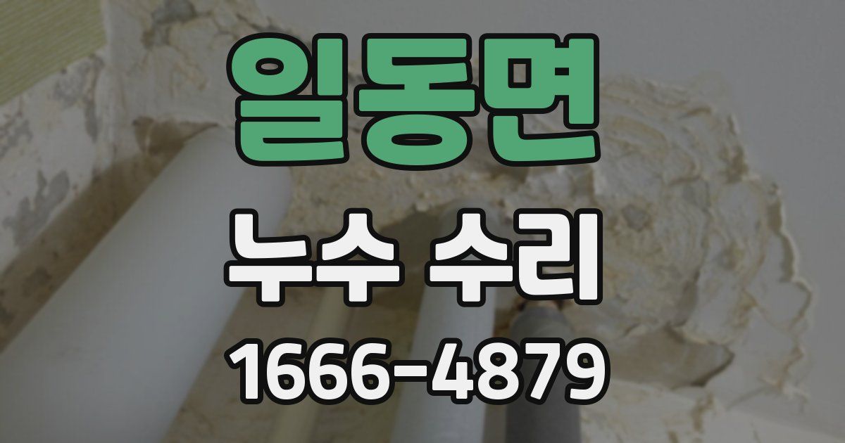일동면 누수 수리