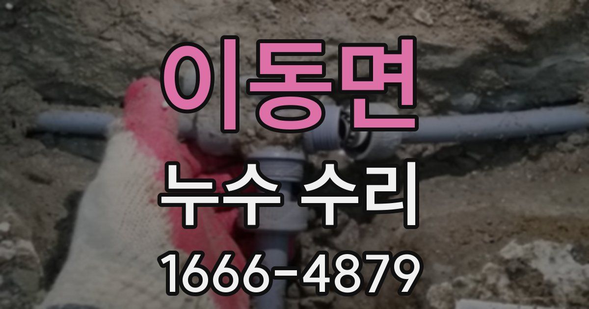 이동면 누수 수리