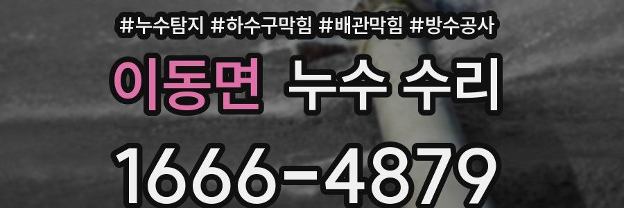 이동면 누수 수리