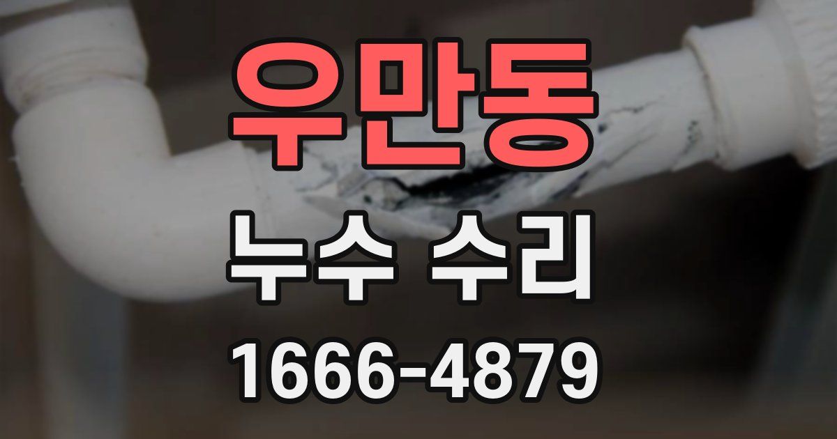 우만동 누수 수리