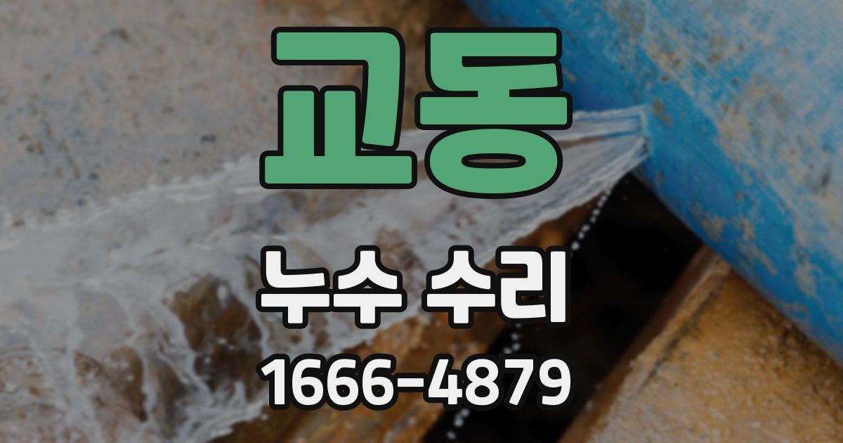 교동 누수 수리
