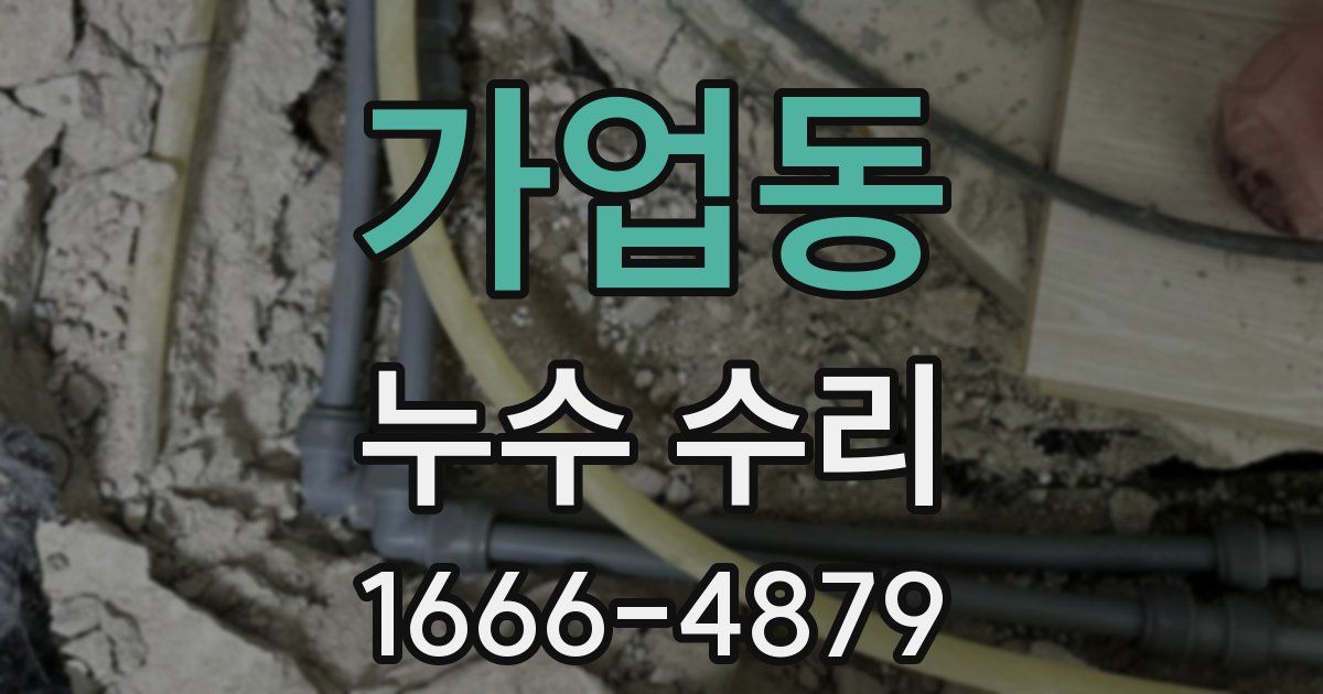 가업동 누수 수리