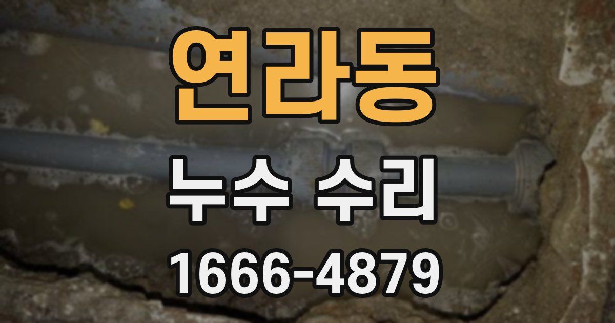 연라동 누수 수리