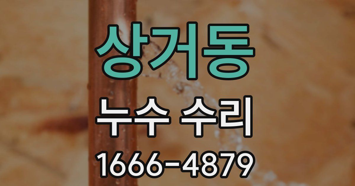 상거동 누수 수리