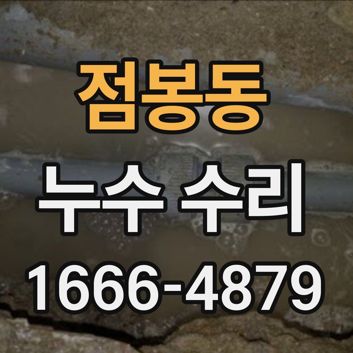 점봉동 누수 수리