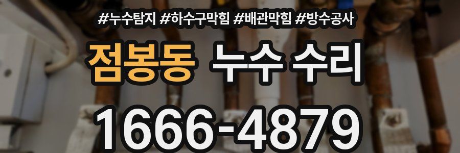 점봉동 누수 수리