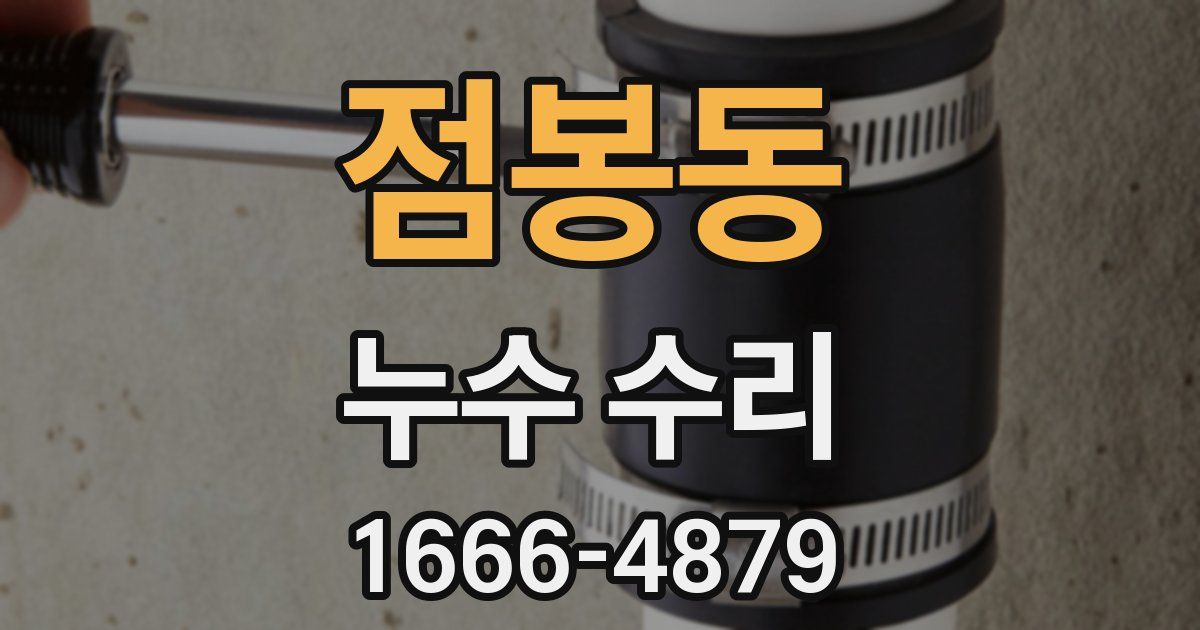 점봉동 누수 수리
