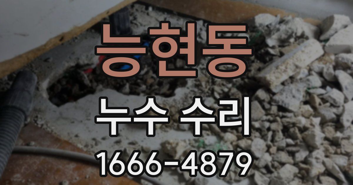 능현동 누수 수리