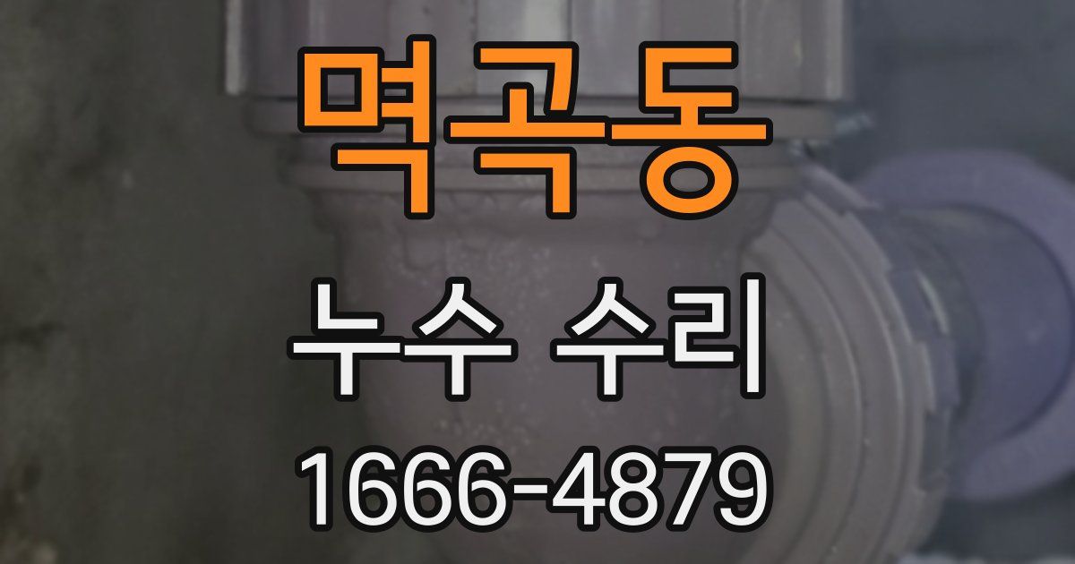 멱곡동 누수 수리