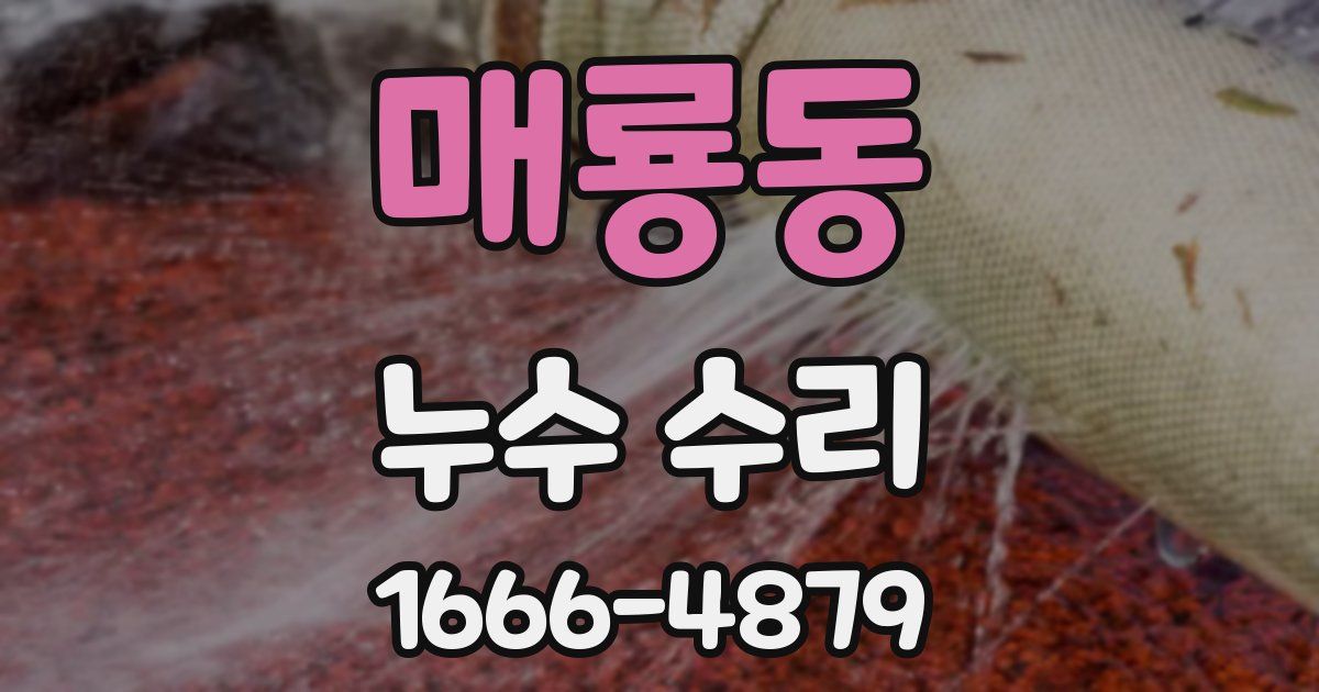 매룡동 누수 수리