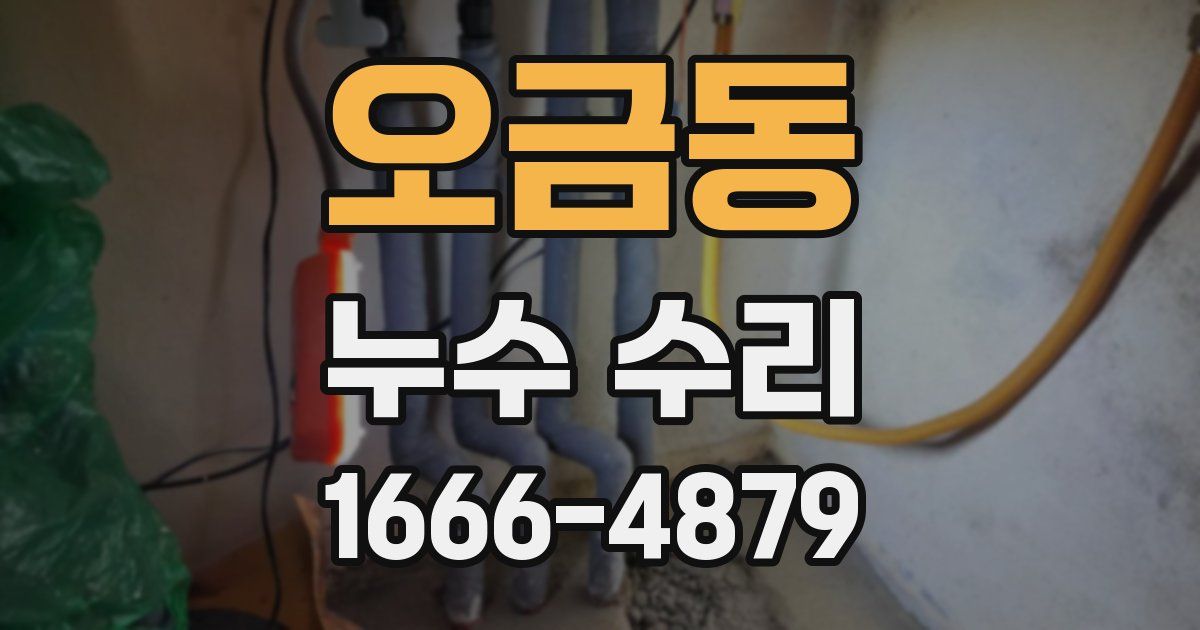 오금동 누수 수리