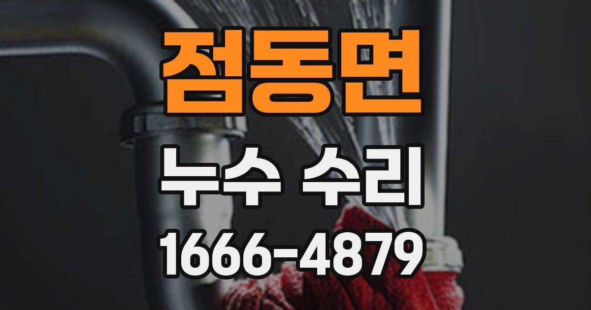 점동면 누수 수리