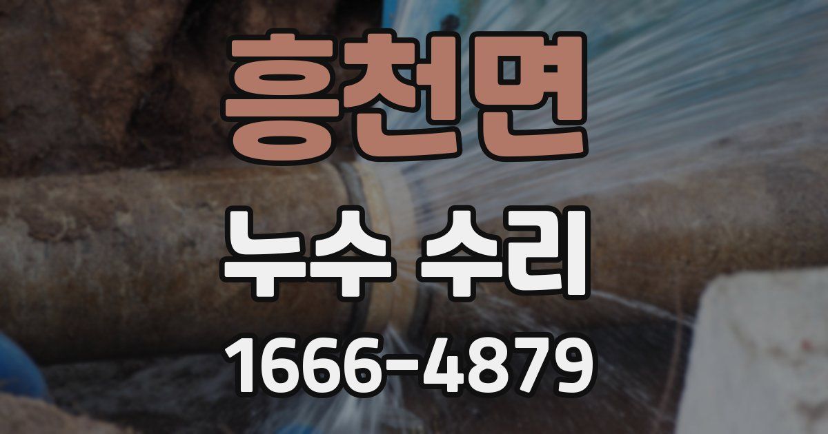 흥천면 누수 수리