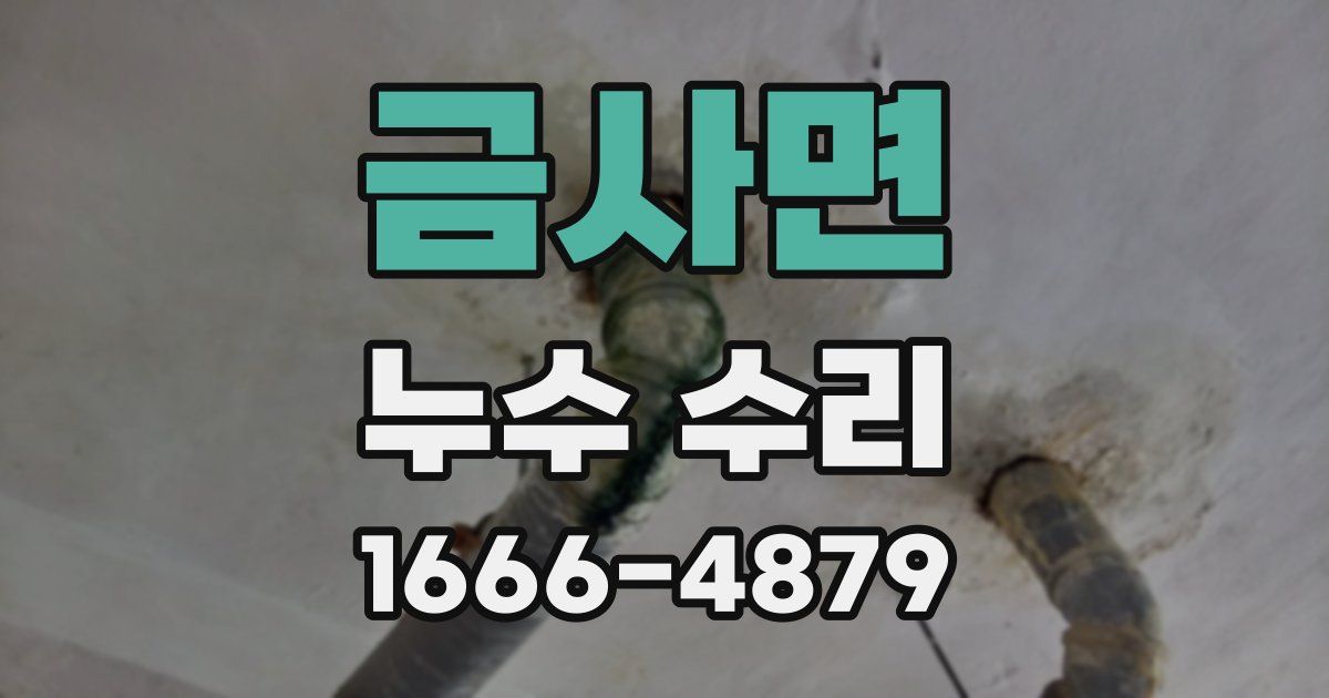 금사면 누수 수리