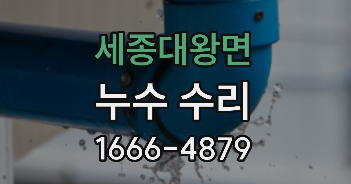 세종대왕면 누수 수리