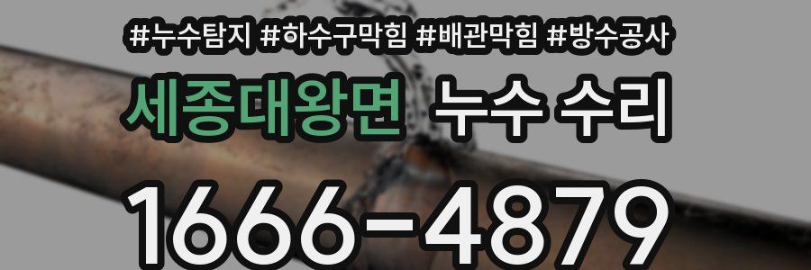 세종대왕면 누수 수리