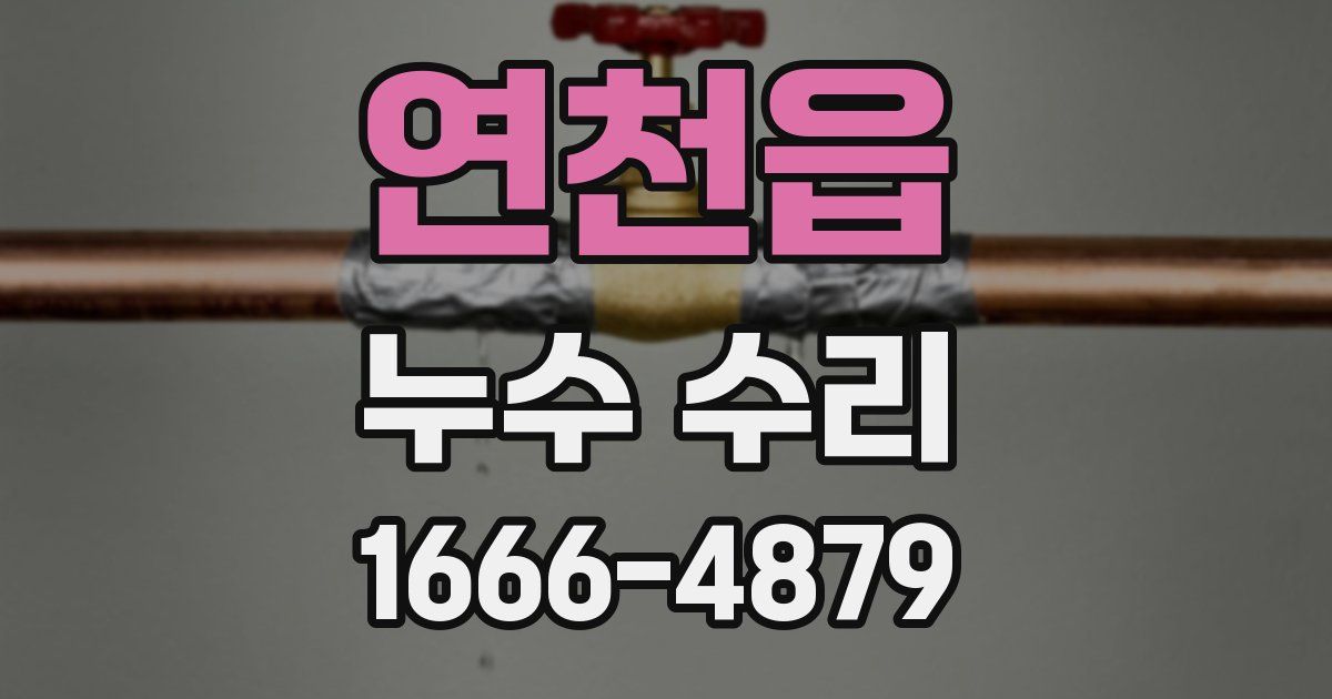 연천읍 누수 수리