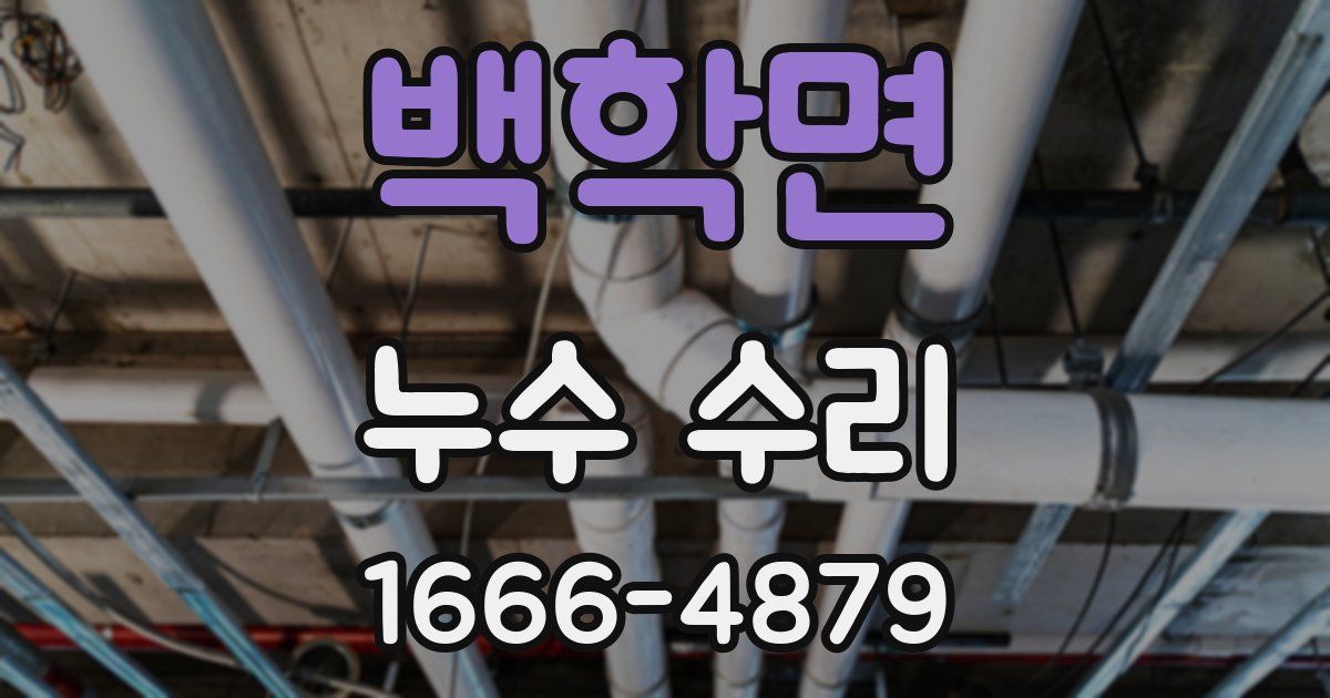 백학면 누수 수리