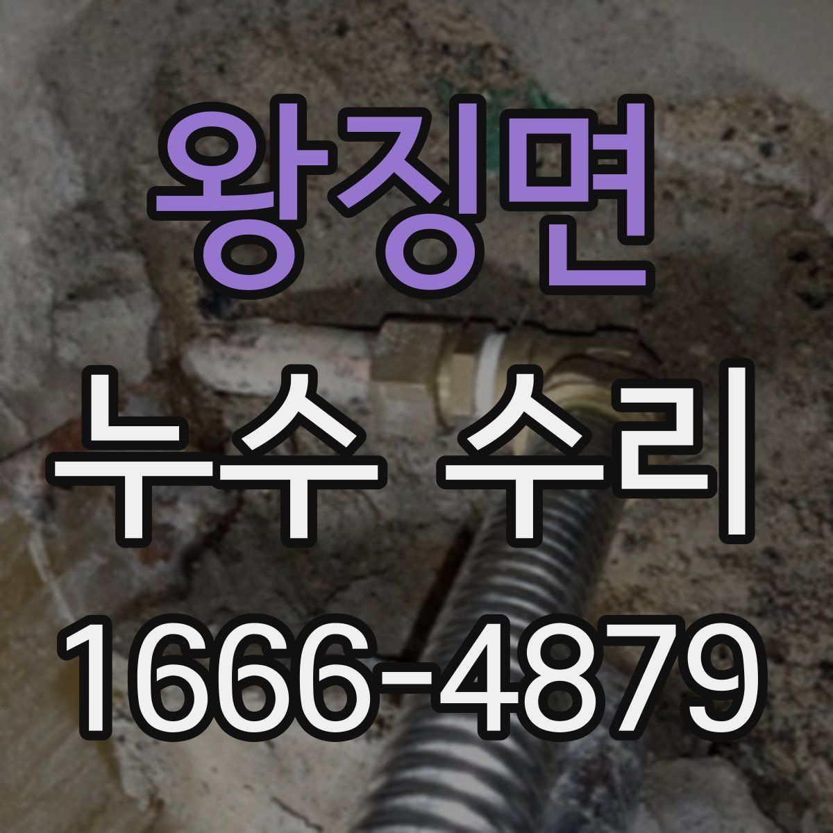 왕징면 누수 수리