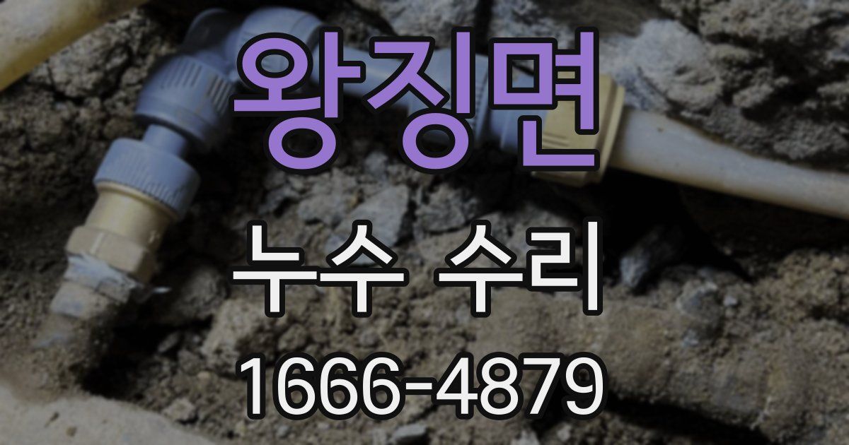 왕징면 누수 수리
