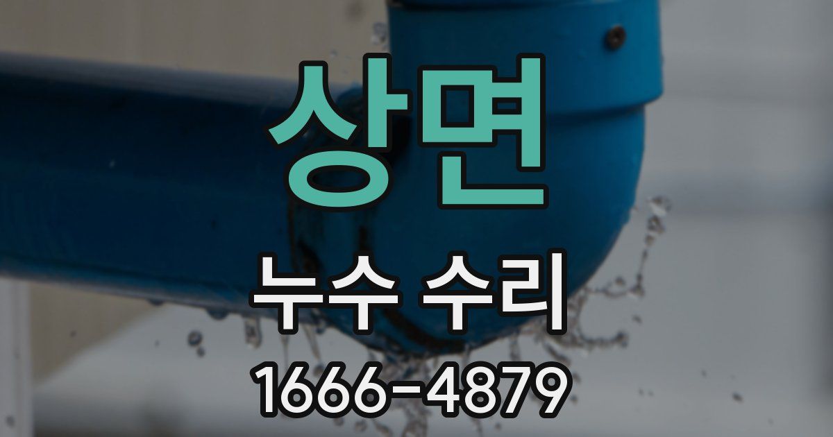 상면 누수 수리