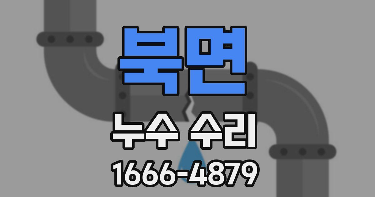북면 누수 수리