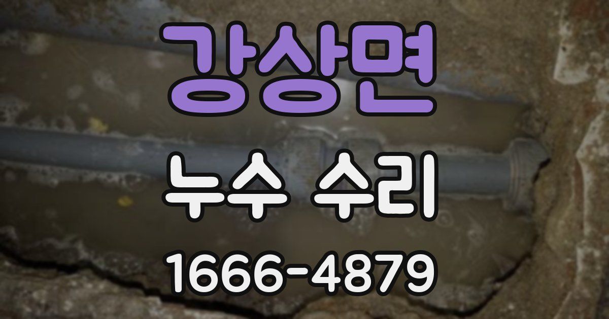강상면 누수 수리