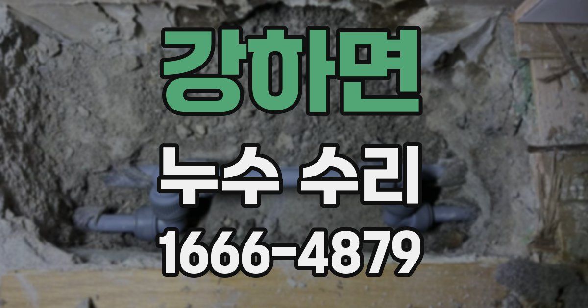 강하면 누수 수리