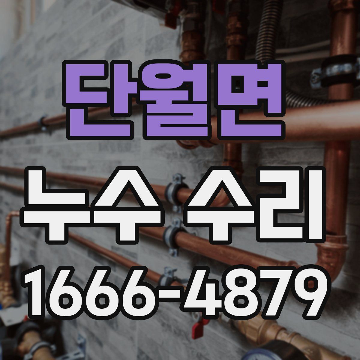 단월면 누수 수리