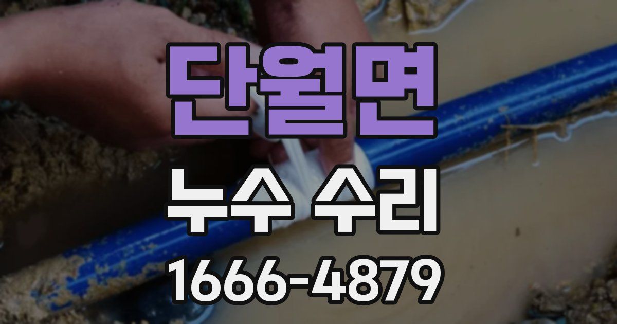 단월면 누수 수리