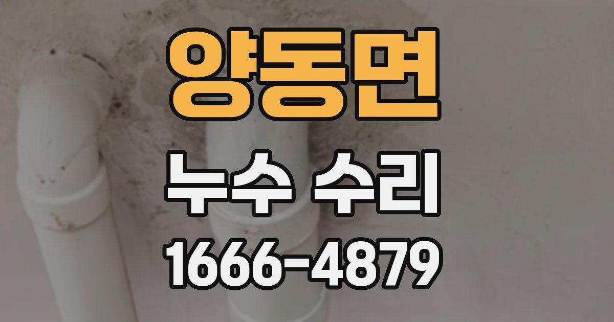 양동면 누수 수리