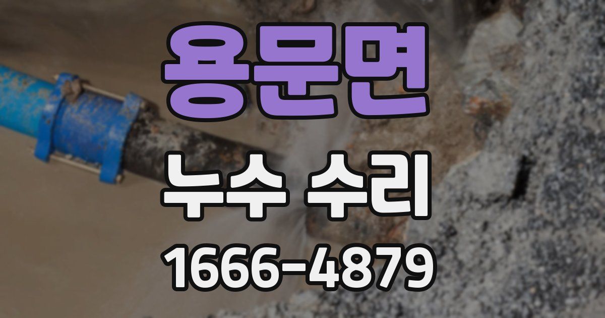 용문면 누수 수리