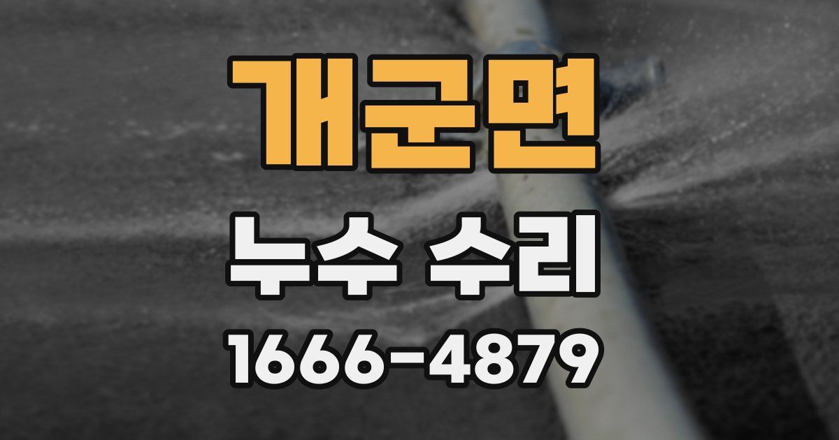 개군면 누수 수리