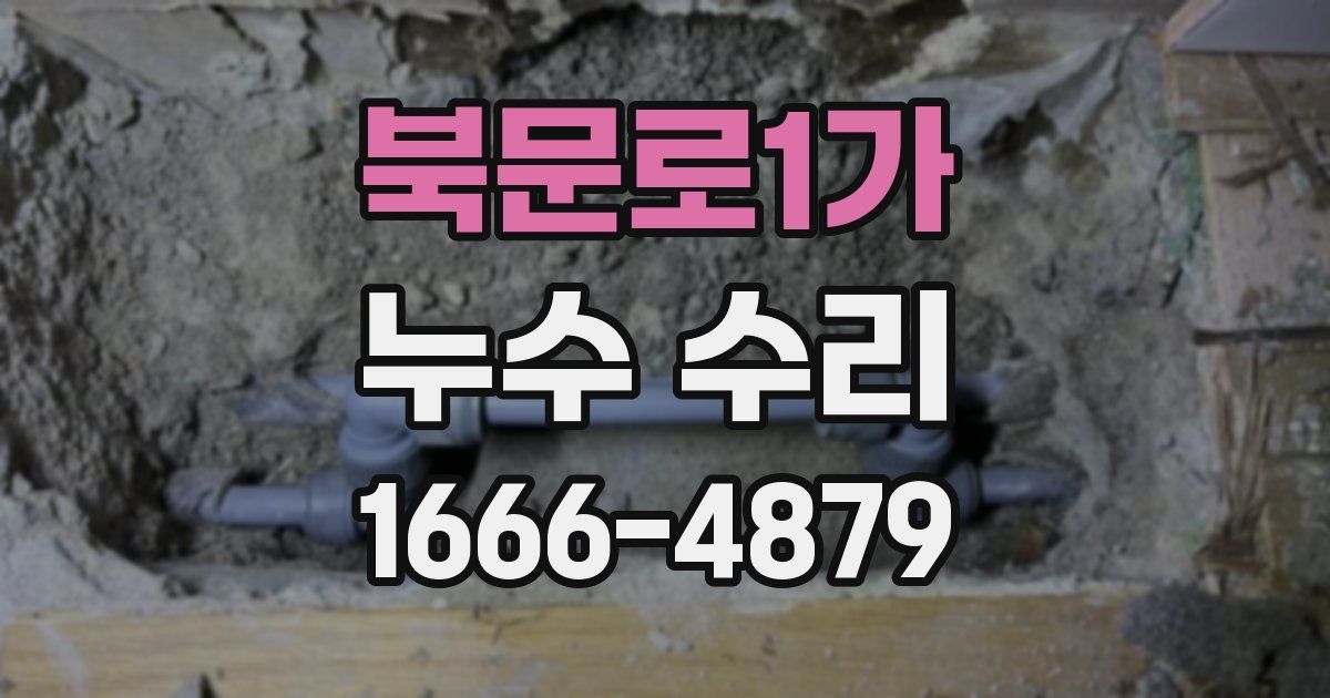 북문로1가 누수 수리