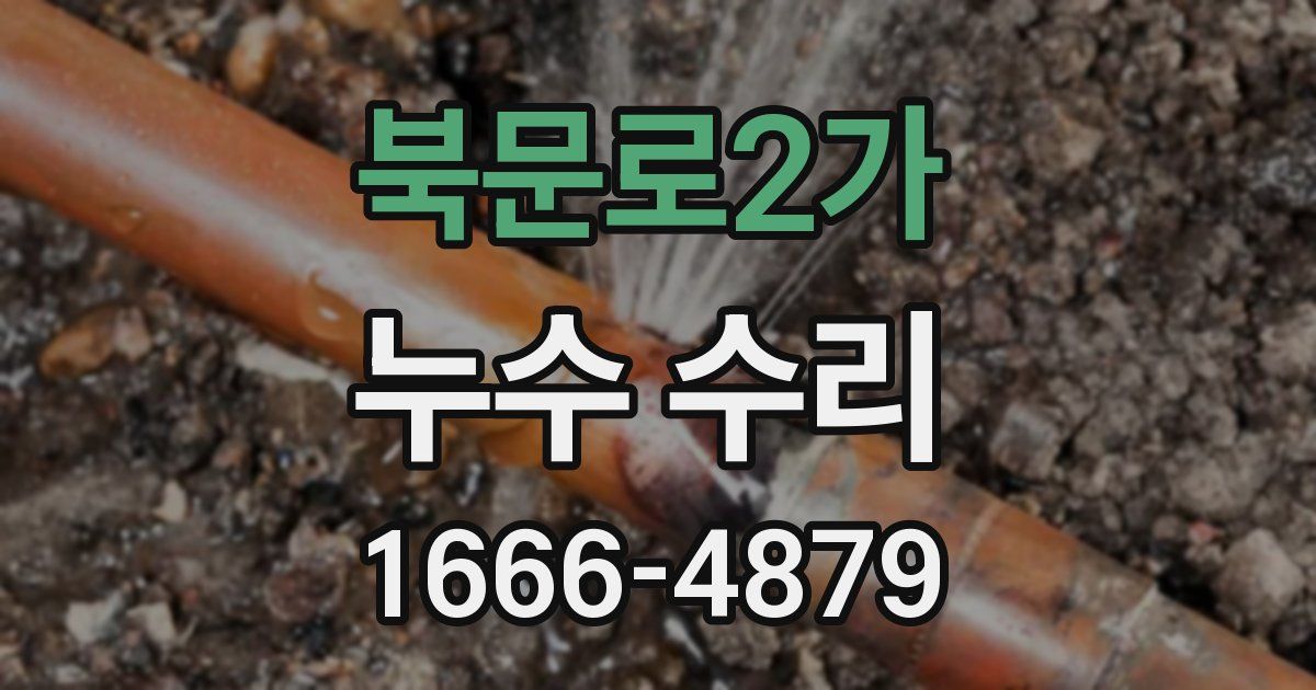 북문로2가 누수 수리