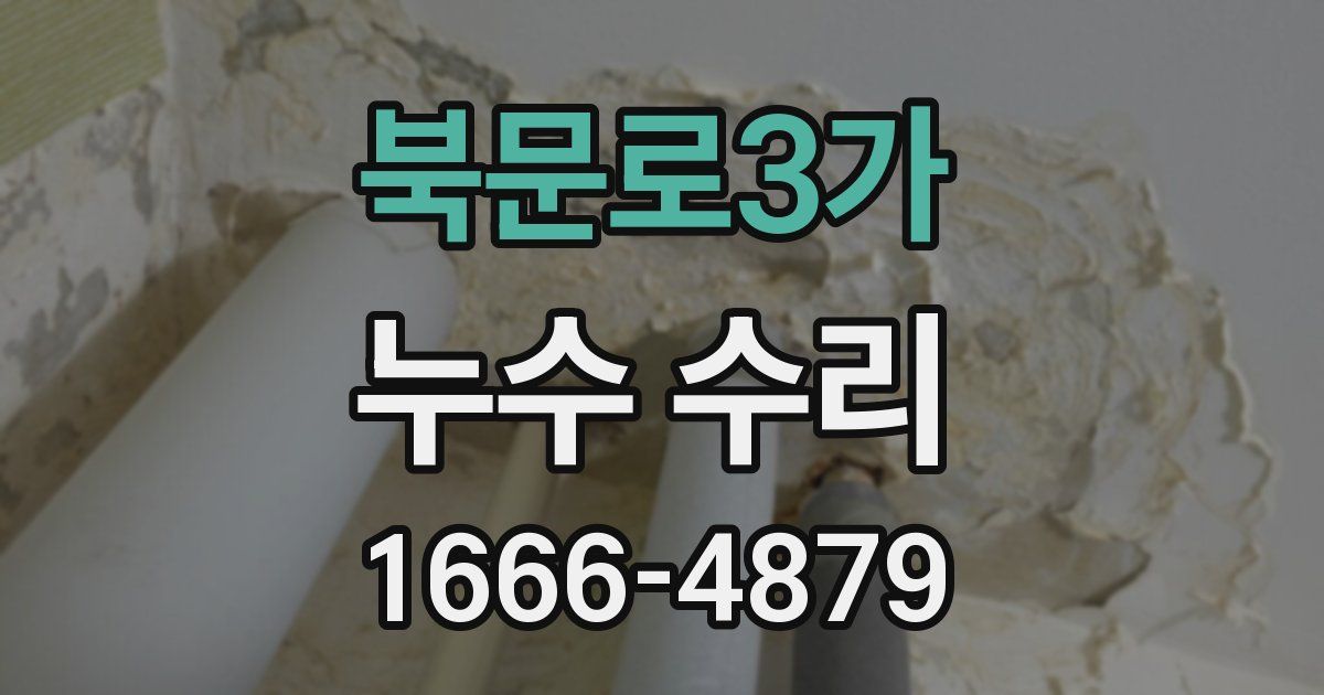 북문로3가 누수 수리