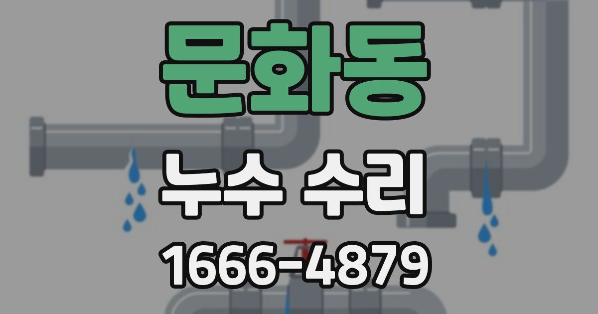 문화동 누수 수리