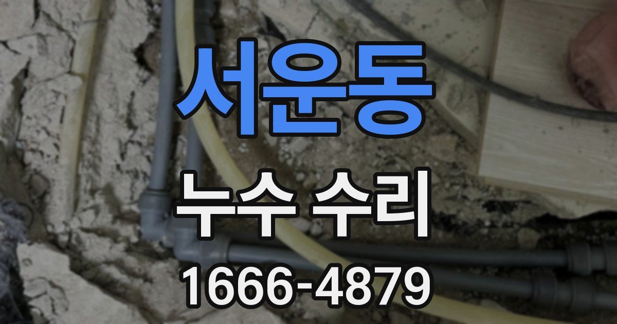 서운동 누수 수리