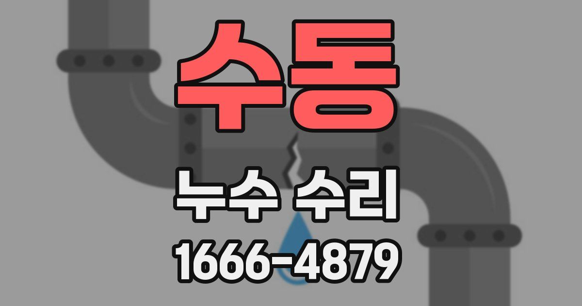 수동 누수 수리