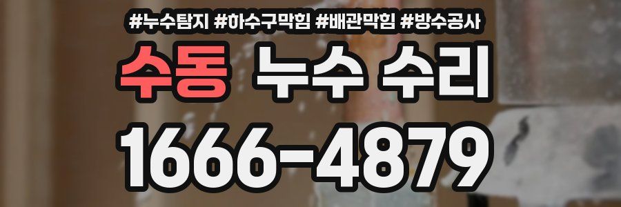 수동 누수 수리