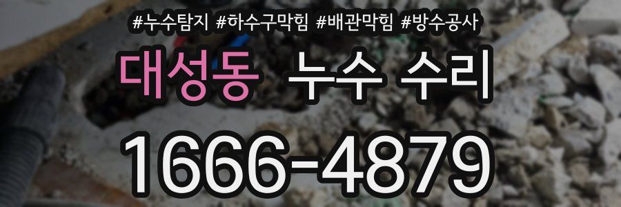 대성동 누수 수리