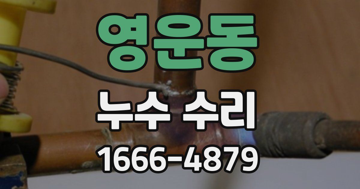 영운동 누수 수리
