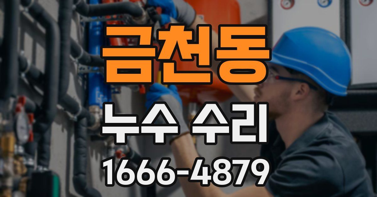 금천동 누수 수리