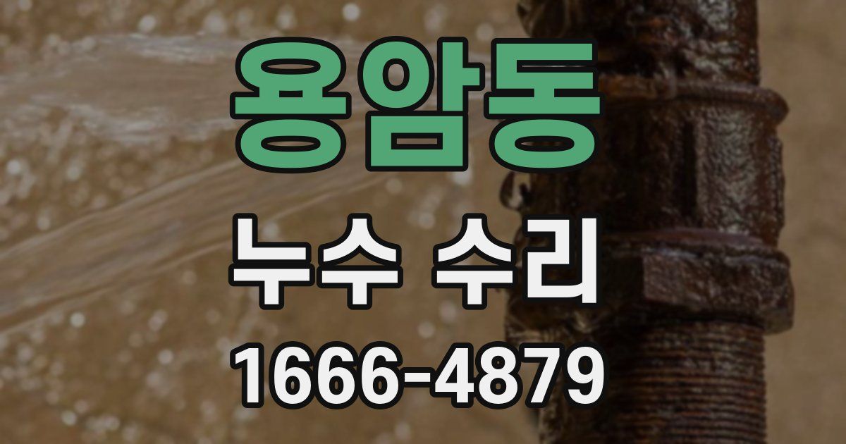 용암동 누수 수리