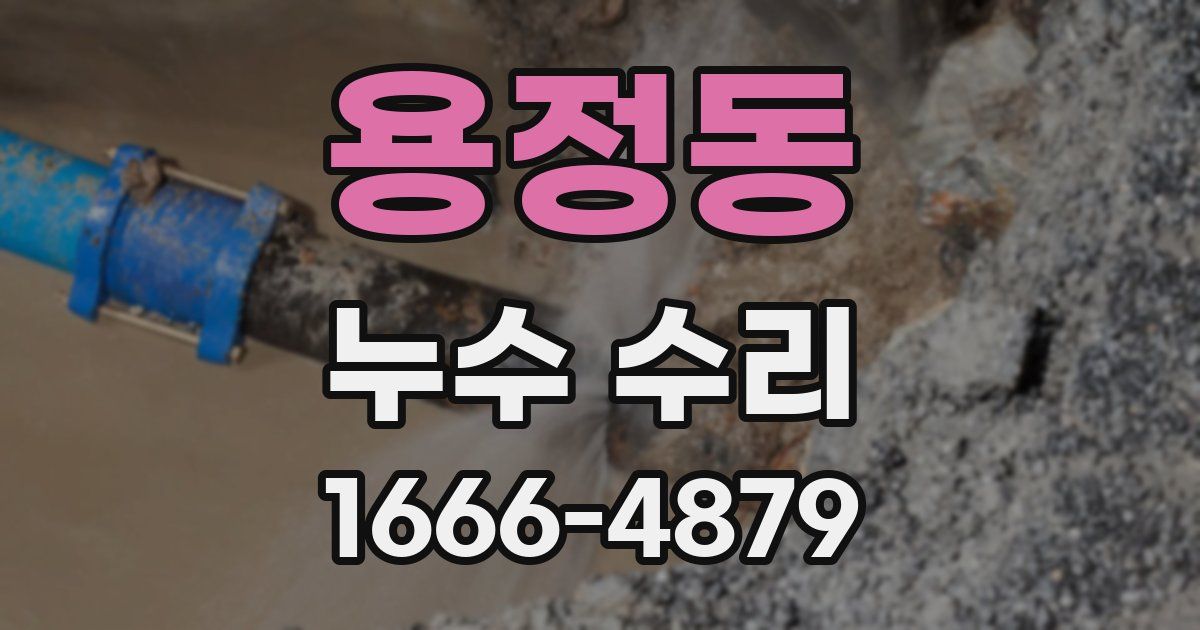 용정동 누수 수리